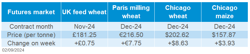 Grain futures 02 09 2024